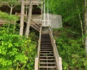Wooden staircase leading up a hillside. Home elevators visible to the right amid dense green forest and multi-level wooden structure.