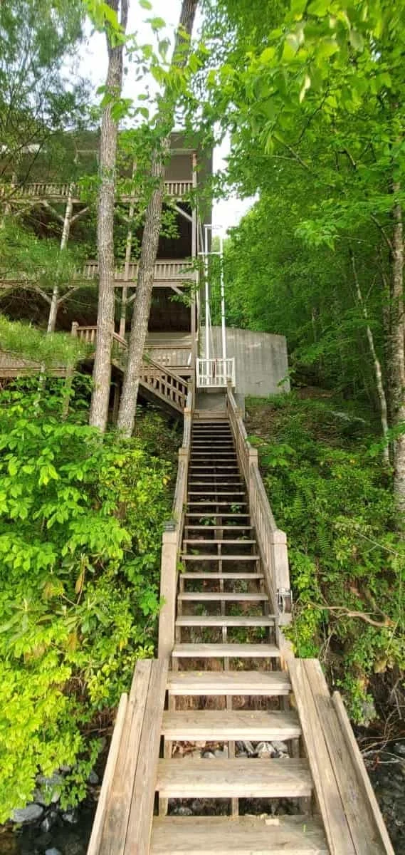 Wooden staircase Wooden staircase leading up a hillside. Home elevators visible to the right amid dense green forest and multi-level wooden structure.