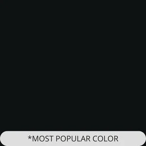 Popular black color option for home elevators, displayed with text "Most Popular Color" on a sleek dark background.